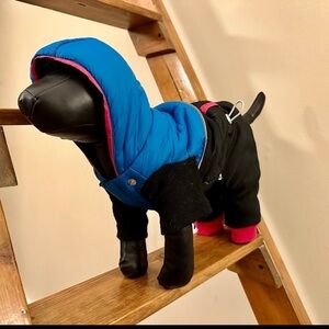 Dog Clothes